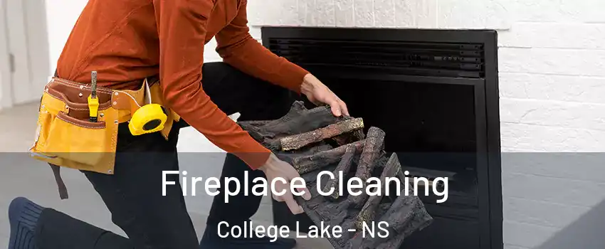  Fireplace Cleaning College Lake - NS