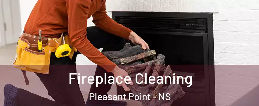  Fireplace Cleaning Pleasant Point - NS