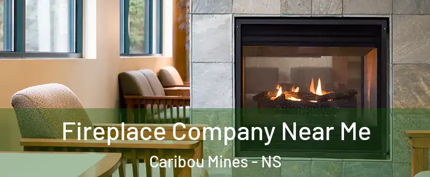  Fireplace Company Near Me Caribou Mines - NS