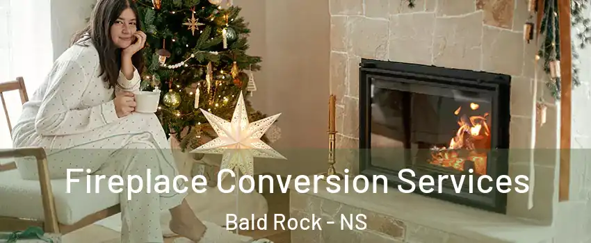  Fireplace Conversion Services Bald Rock - NS