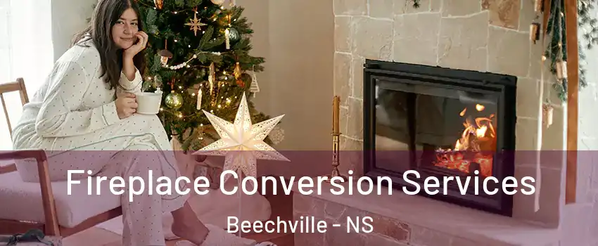  Fireplace Conversion Services Beechville - NS