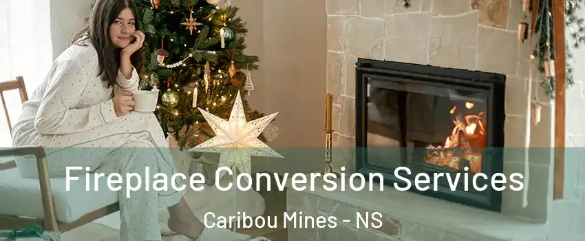  Fireplace Conversion Services Caribou Mines - NS
