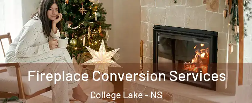  Fireplace Conversion Services College Lake - NS