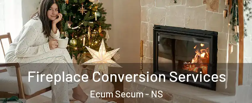  Fireplace Conversion Services Ecum Secum - NS