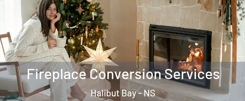  Fireplace Conversion Services Halibut Bay - NS