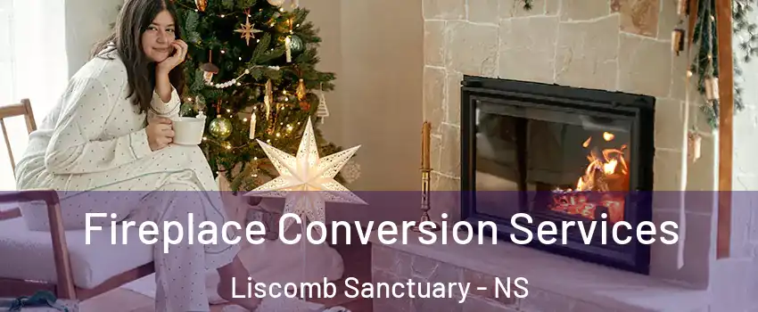  Fireplace Conversion Services Liscomb Sanctuary - NS