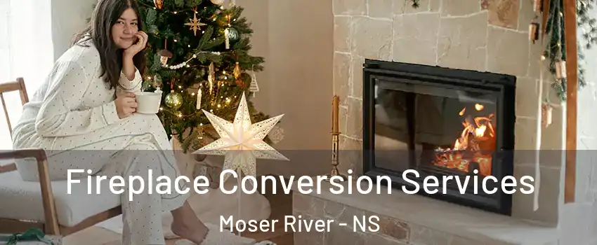  Fireplace Conversion Services Moser River - NS
