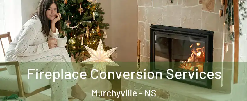  Fireplace Conversion Services Murchyville - NS