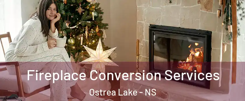 Fireplace Conversion Services Ostrea Lake - NS