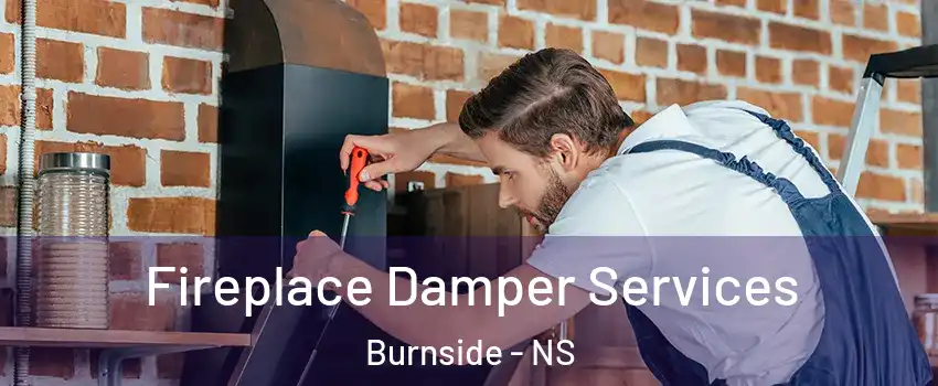  Fireplace Damper Services Burnside - NS