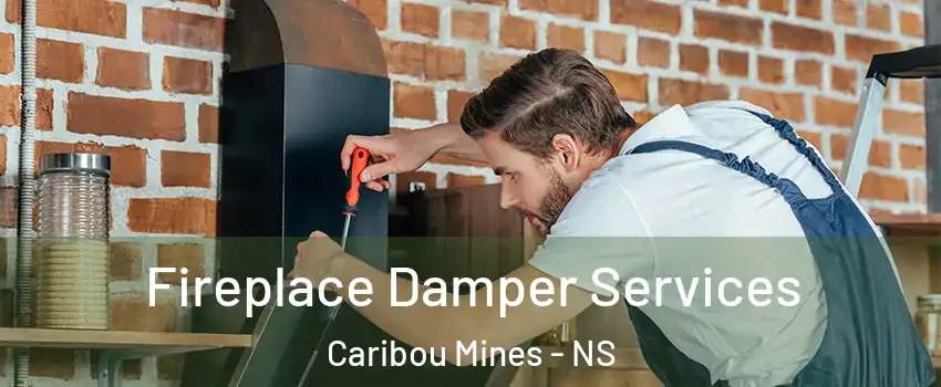  Fireplace Damper Services Caribou Mines - NS