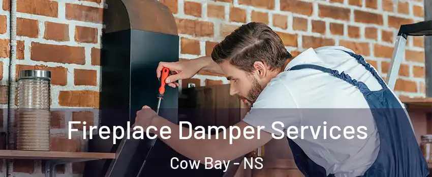  Fireplace Damper Services Cow Bay - NS