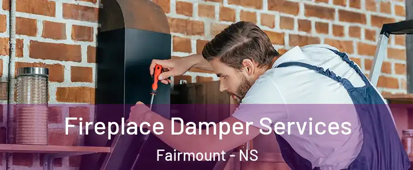  Fireplace Damper Services Fairmount - NS