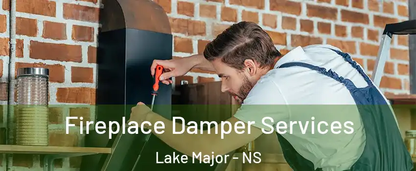  Fireplace Damper Services Lake Major - NS