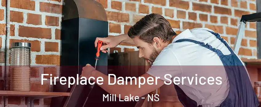  Fireplace Damper Services Mill Lake - NS