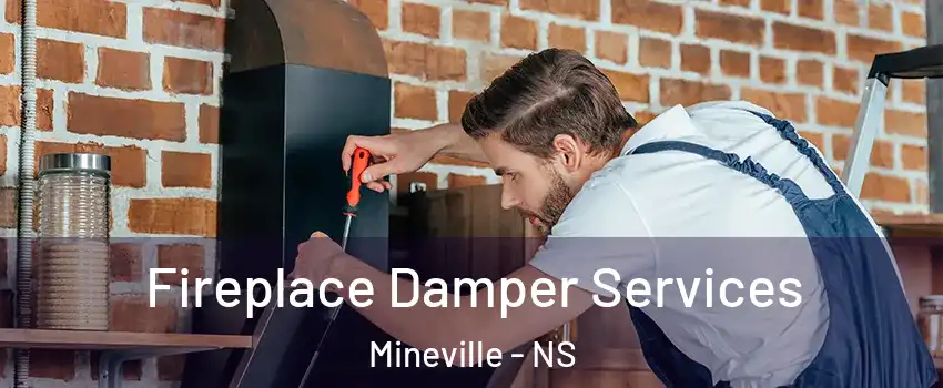  Fireplace Damper Services Mineville - NS