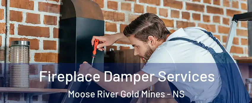  Fireplace Damper Services Moose River Gold Mines - NS