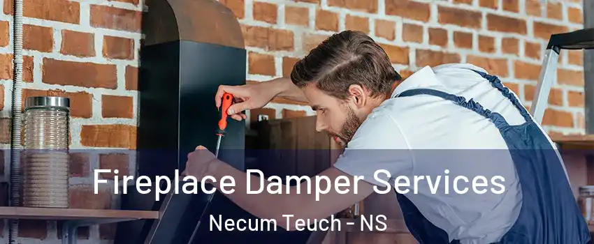  Fireplace Damper Services Necum Teuch - NS