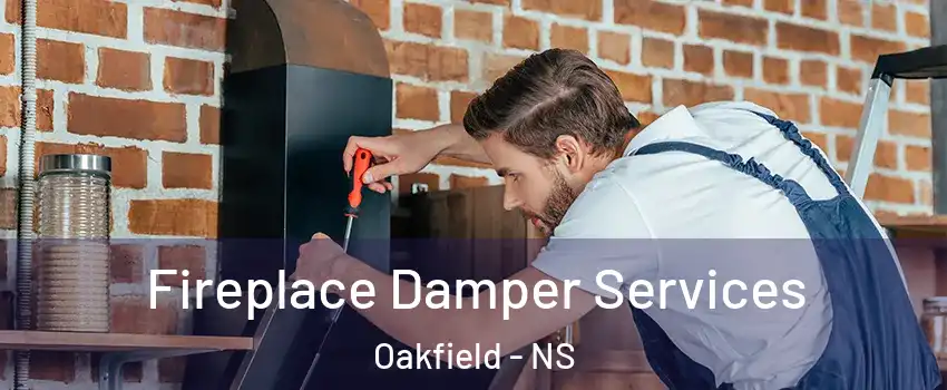  Fireplace Damper Services Oakfield - NS