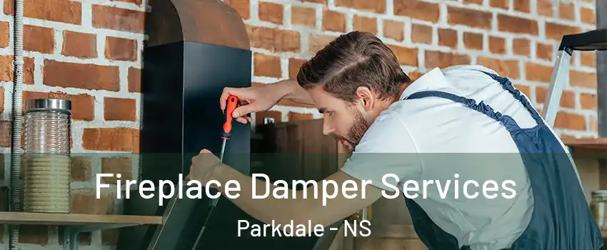  Fireplace Damper Services Parkdale - NS