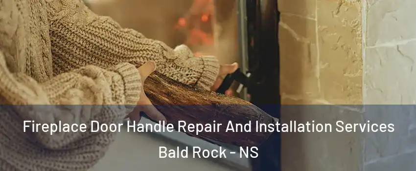  Fireplace Door Handle Repair And Installation Services Bald Rock - NS