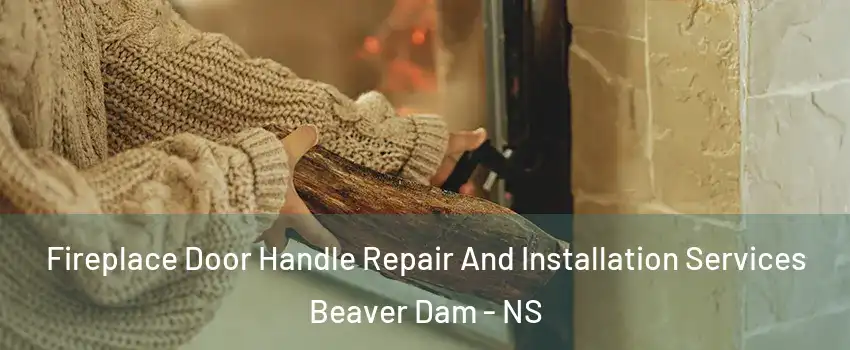  Fireplace Door Handle Repair And Installation Services Beaver Dam - NS