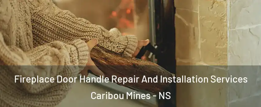  Fireplace Door Handle Repair And Installation Services Caribou Mines - NS
