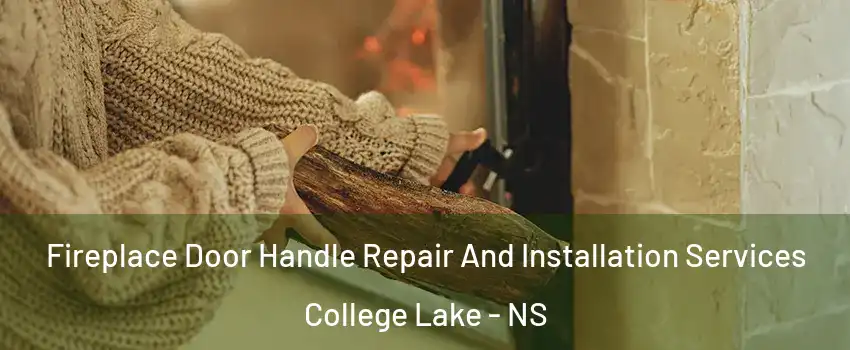  Fireplace Door Handle Repair And Installation Services College Lake - NS