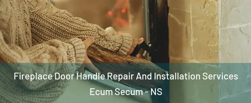  Fireplace Door Handle Repair And Installation Services Ecum Secum - NS