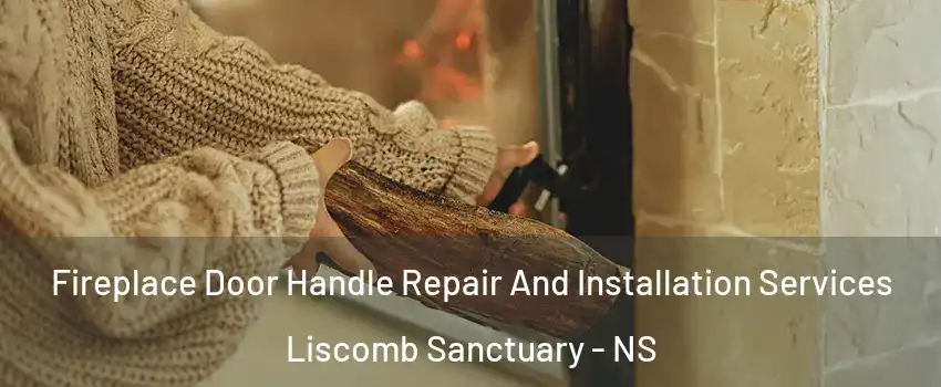  Fireplace Door Handle Repair And Installation Services Liscomb Sanctuary - NS