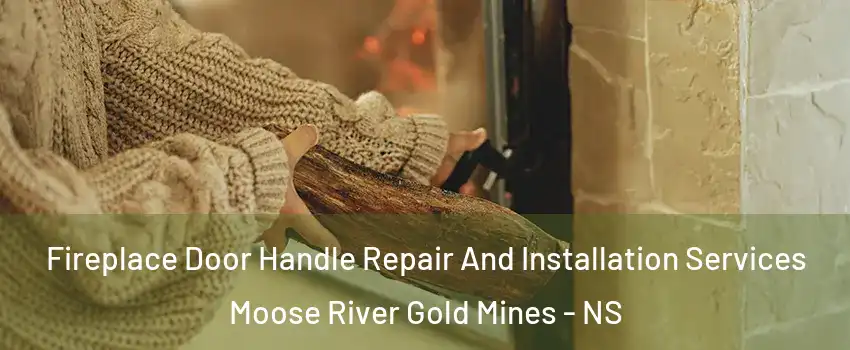  Fireplace Door Handle Repair And Installation Services Moose River Gold Mines - NS