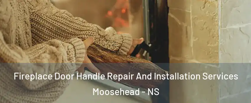  Fireplace Door Handle Repair And Installation Services Moosehead - NS