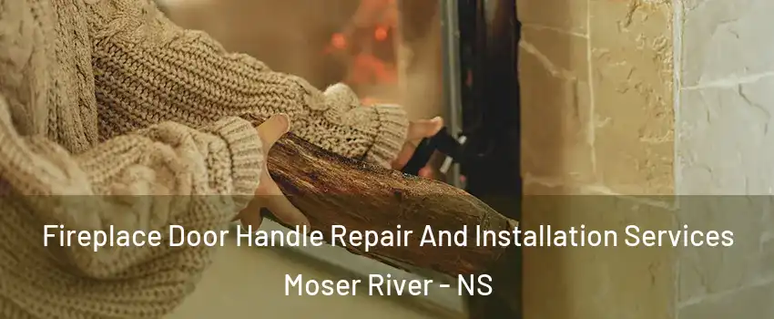  Fireplace Door Handle Repair And Installation Services Moser River - NS