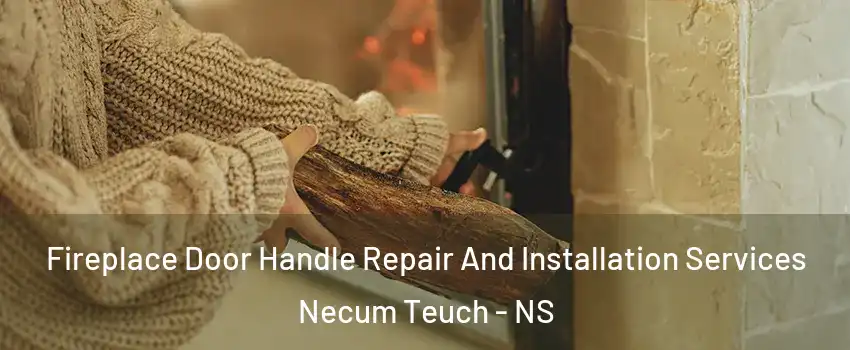 Fireplace Door Handle Repair And Installation Services Necum Teuch - NS