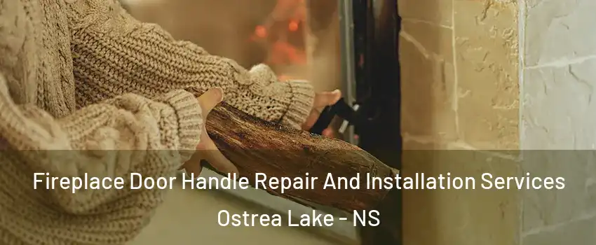  Fireplace Door Handle Repair And Installation Services Ostrea Lake - NS