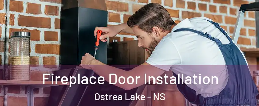  Fireplace Door Installation Ostrea Lake - NS