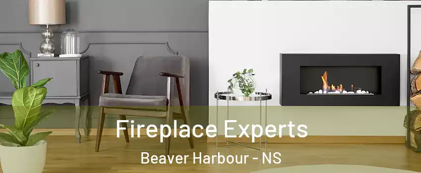  Fireplace Experts Beaver Harbour - NS