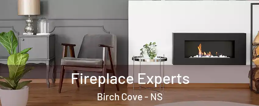  Fireplace Experts Birch Cove - NS