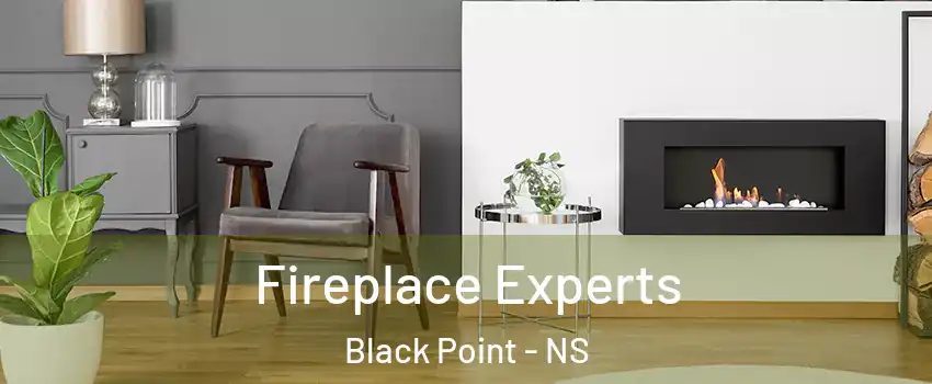  Fireplace Experts Black Point - NS