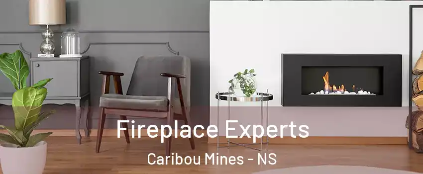  Fireplace Experts Caribou Mines - NS