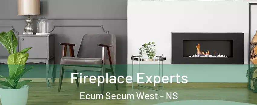  Fireplace Experts Ecum Secum West - NS