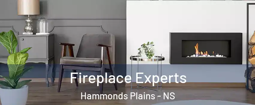 Fireplace Experts Hammonds Plains - NS