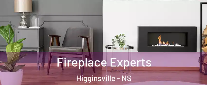  Fireplace Experts Higginsville - NS