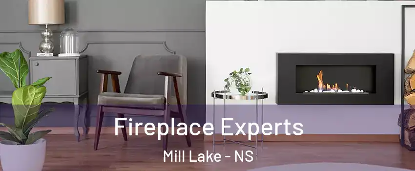  Fireplace Experts Mill Lake - NS