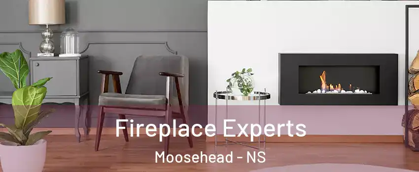  Fireplace Experts Moosehead - NS