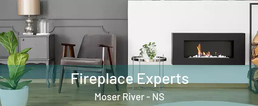  Fireplace Experts Moser River - NS