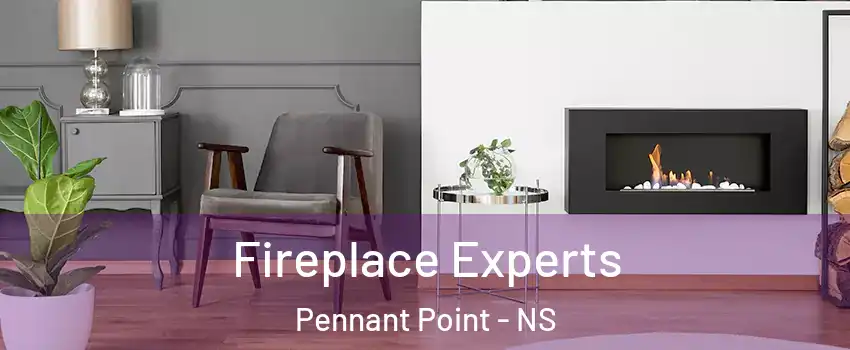  Fireplace Experts Pennant Point - NS