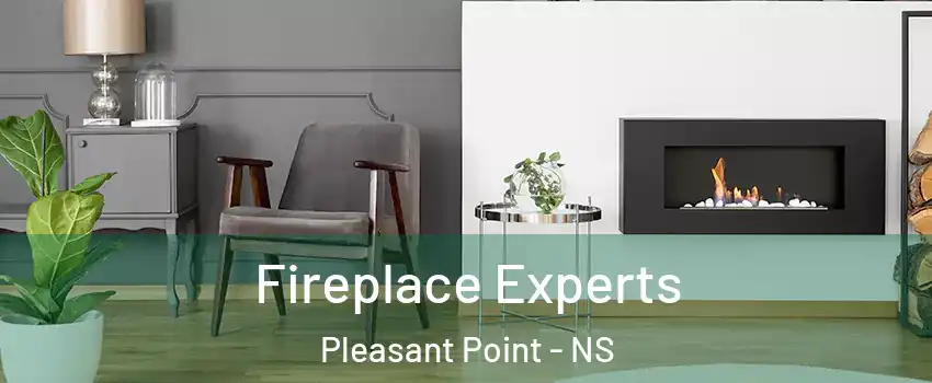  Fireplace Experts Pleasant Point - NS
