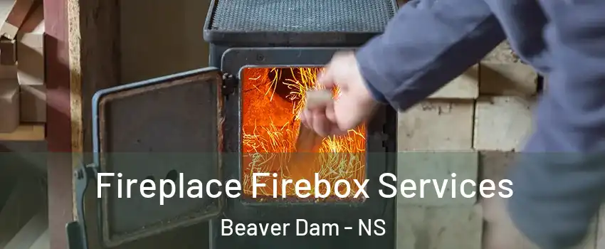  Fireplace Firebox Services Beaver Dam - NS