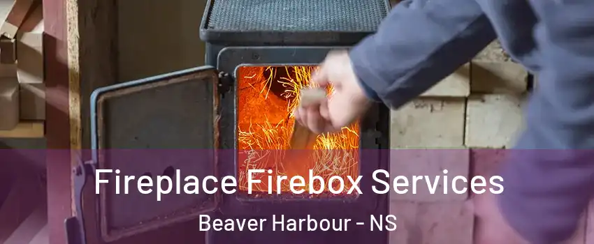  Fireplace Firebox Services Beaver Harbour - NS